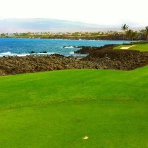 Meet your Posher, Peggy